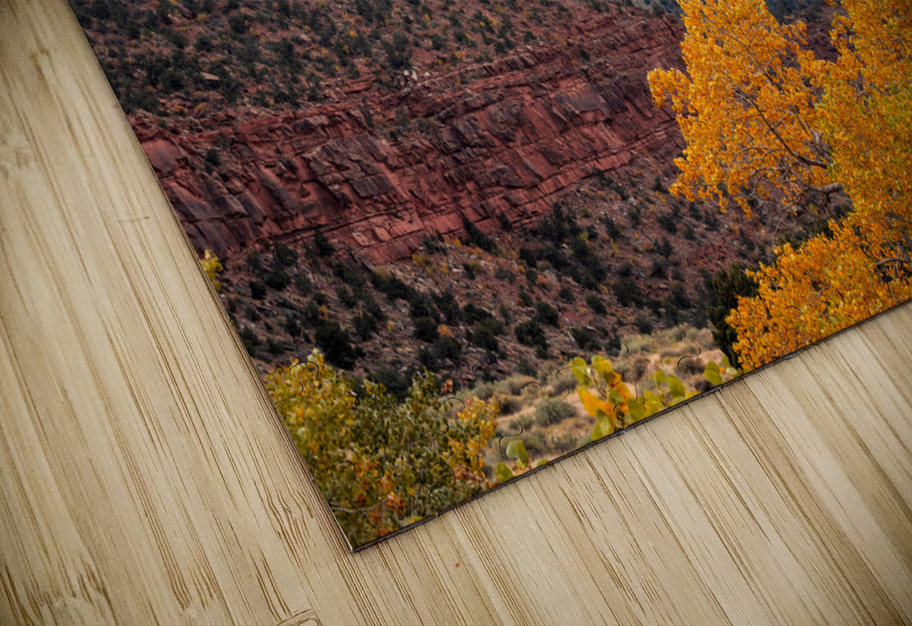 Yellow’s and Red Rock E2 Photography Puzzle